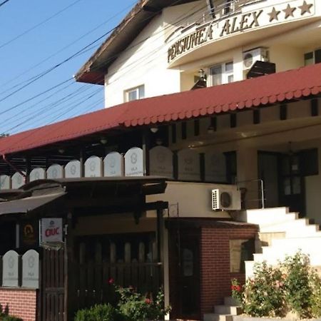 Vila Alex&Razvan Tulcea Ngoại thất bức ảnh